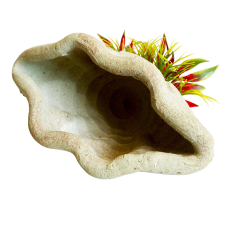 PLANTA +PLANTA MARINHA 16CM 
